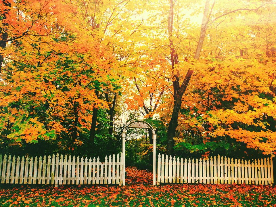 Indiana