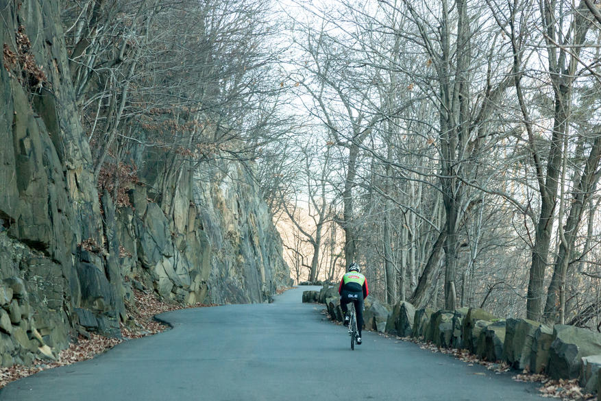 Alpine NJ
