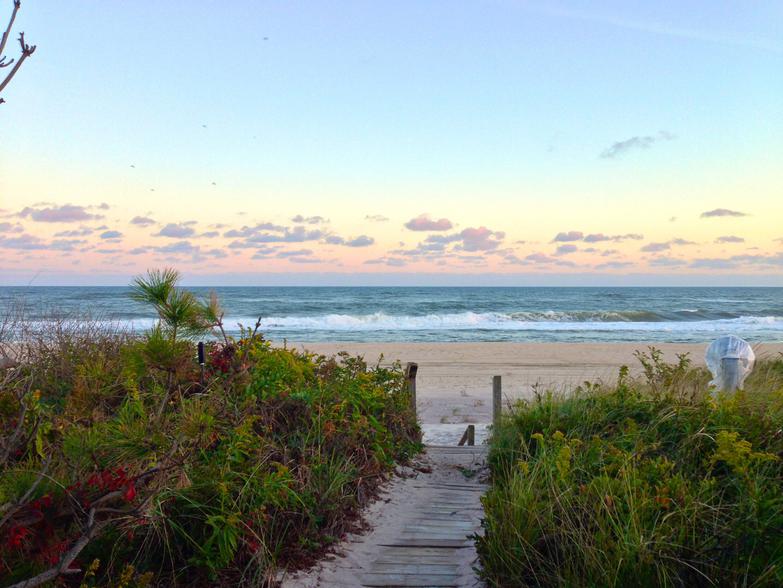 Hamptons NY