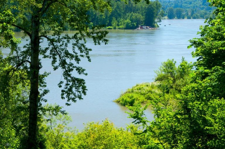 The Most Expensive Zip Code in Every State [2020 Edition]