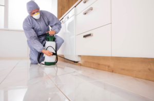 Termite treatment